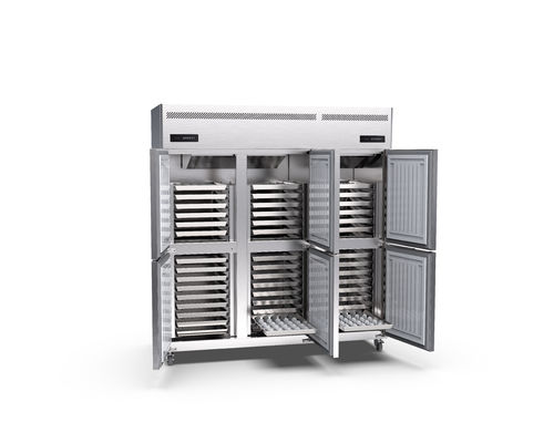 850w congélateur droit de grande du congélateur 45 porte droite commerciale des plateaux 220v 6