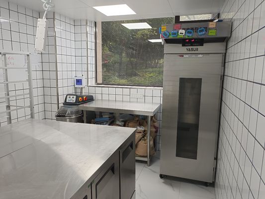 Yasur 40 plateaux atteignent dans le type type générateur de lavage de l'air 2kw de Proofer 40X60cm de la pâte de pizza de vapeur
