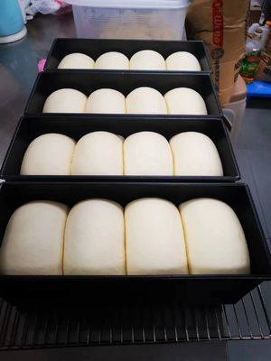 Yasur 40 plateaux atteignent dans le type type générateur de lavage de l'air 2kw de Proofer 40X60cm de la pâte de pizza de vapeur