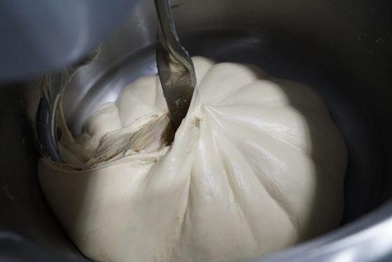 Mélangeur simple en spirale à deux vitesses de la pâte du moteur 25kg de mélangeur de la pâte de la pizza 12.5kg